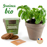 Kit de plantation intérieur Basilique grand vert Bio avec pot en terre cuite inclus - Livraison Offerte